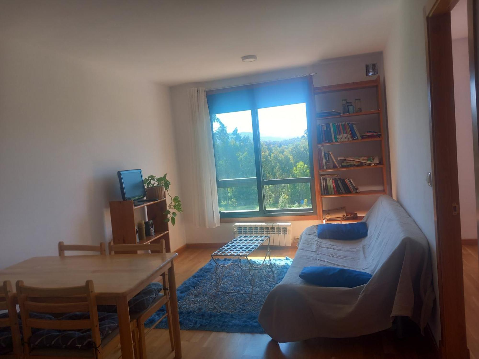 Apartamento Centrico Salvaterra Apartment Salvatierra de Mino Room photo